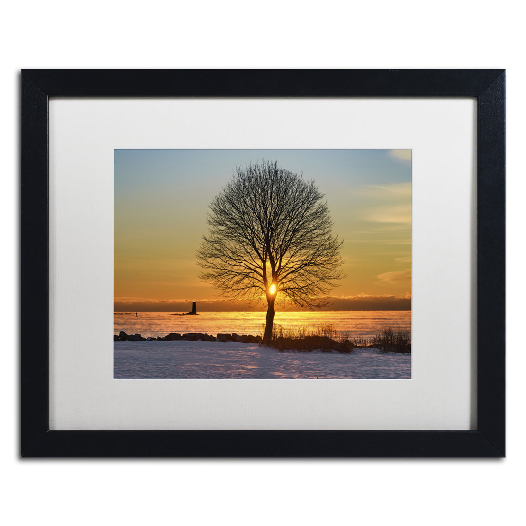 Michael Blanchette Photography Eye of the Tree Black Wooden Framed Art 18 x 22 Inches Image 1