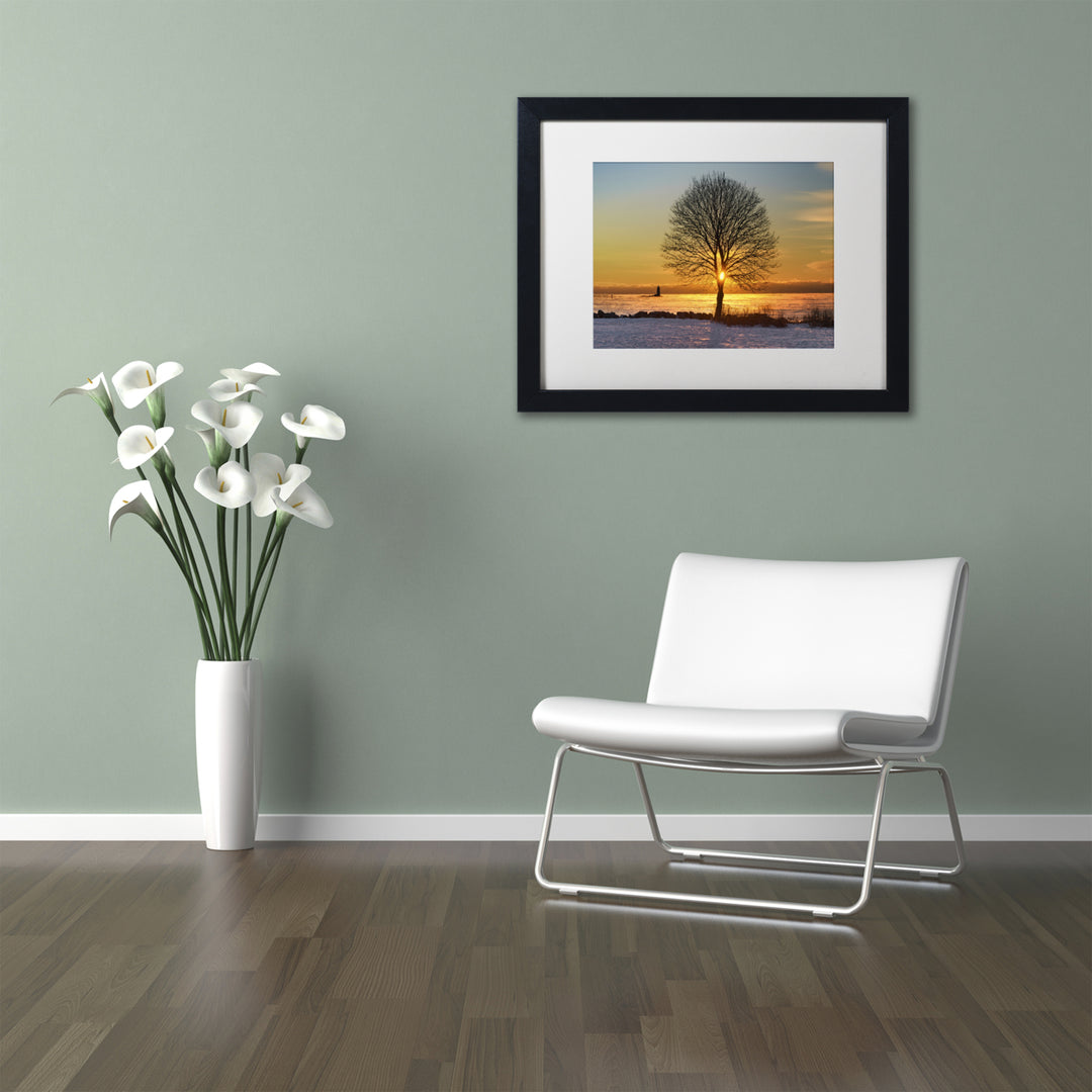 Michael Blanchette Photography Eye of the Tree Black Wooden Framed Art 18 x 22 Inches Image 2