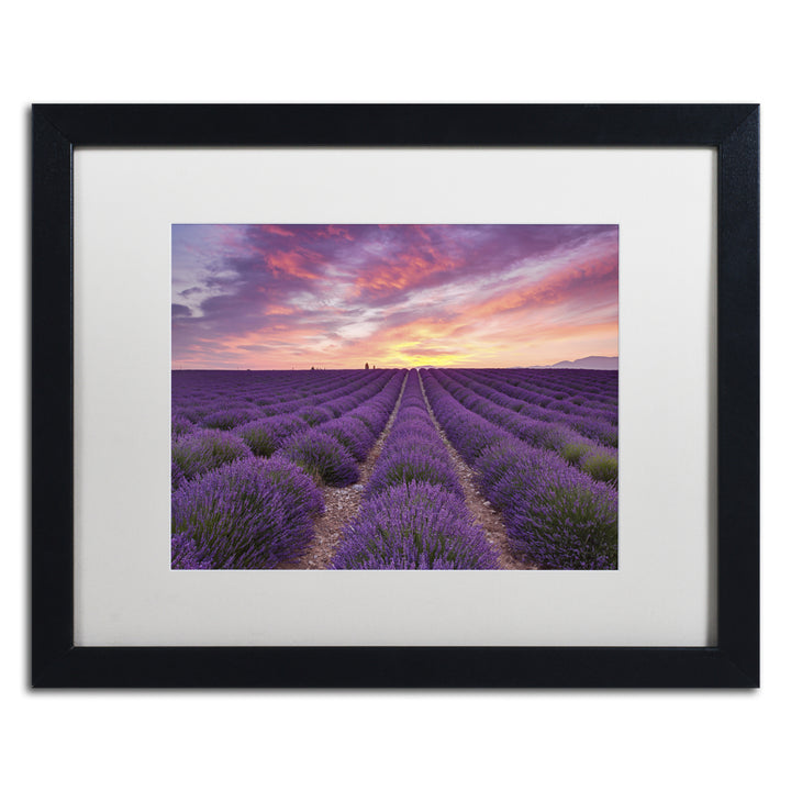 Michael Blanchette Photography Lavender Sunrise Black Wooden Framed Art 18 x 22 Inches Image 1