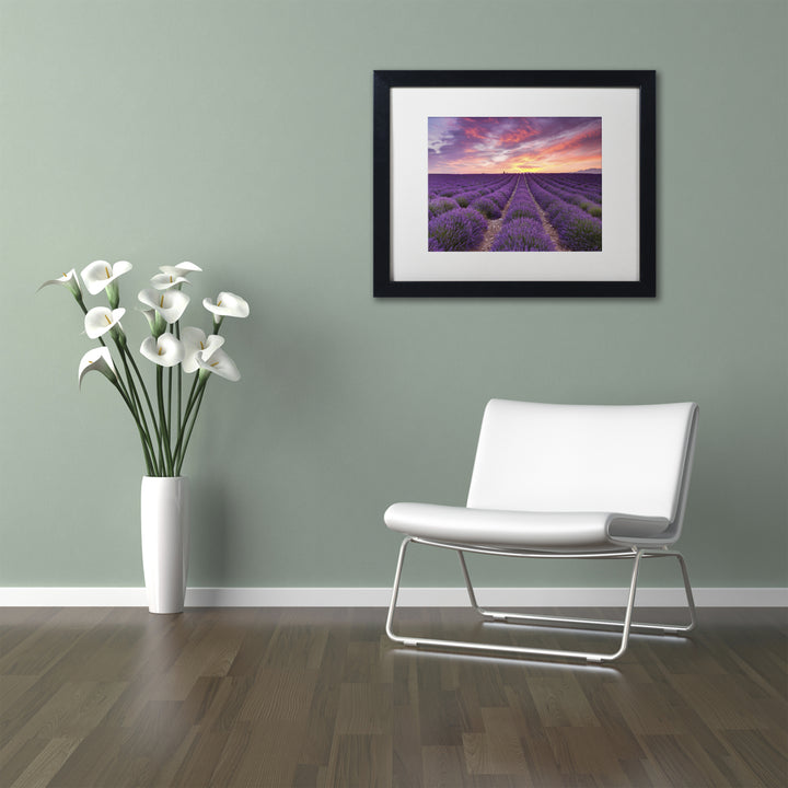 Michael Blanchette Photography Lavender Sunrise Black Wooden Framed Art 18 x 22 Inches Image 2