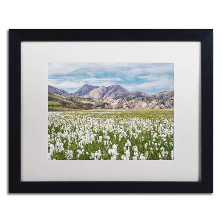 Michael Blanchette Photography Cotton Grass Black Wooden Framed Art 18 x 22 Inches Image 1