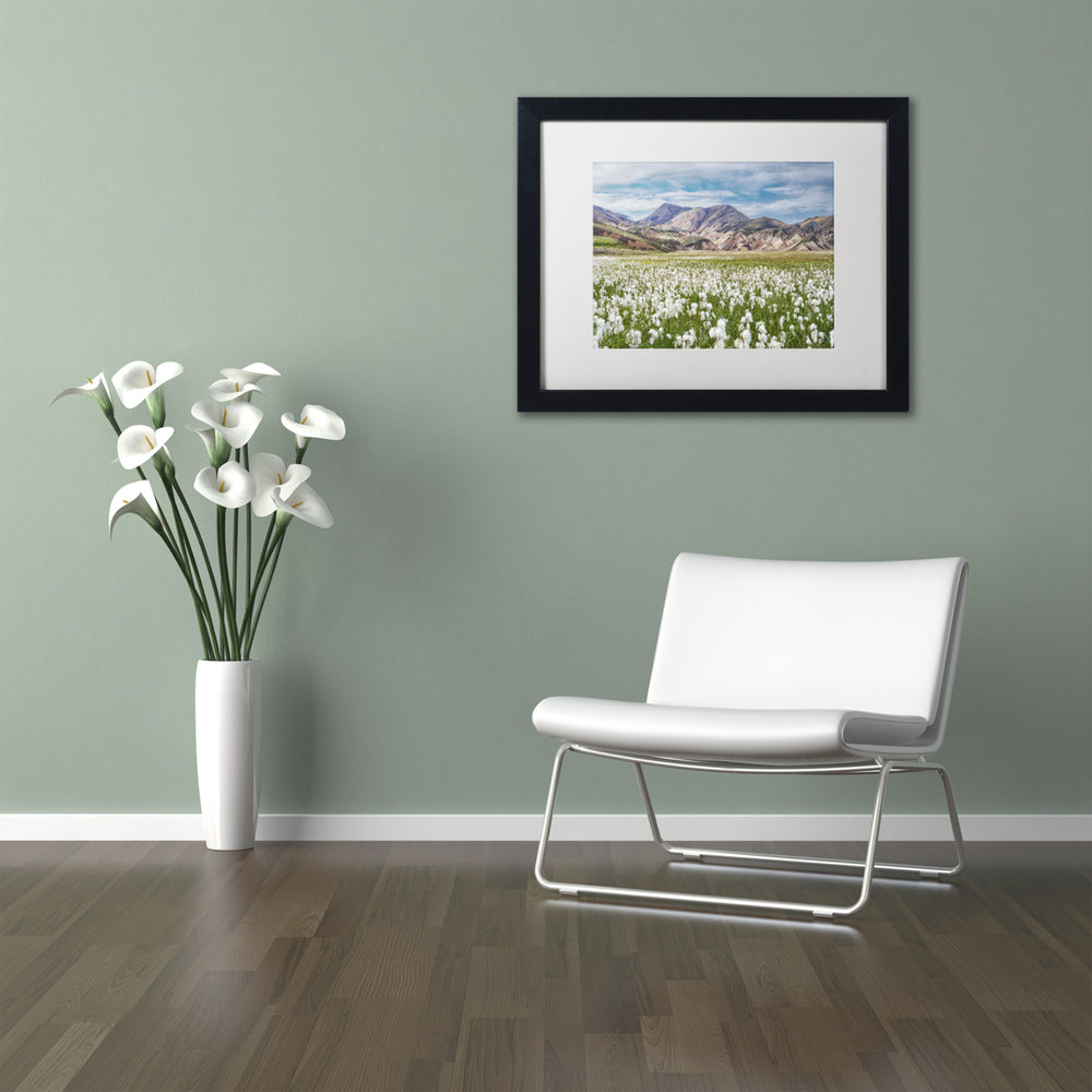 Michael Blanchette Photography Cotton Grass Black Wooden Framed Art 18 x 22 Inches Image 2