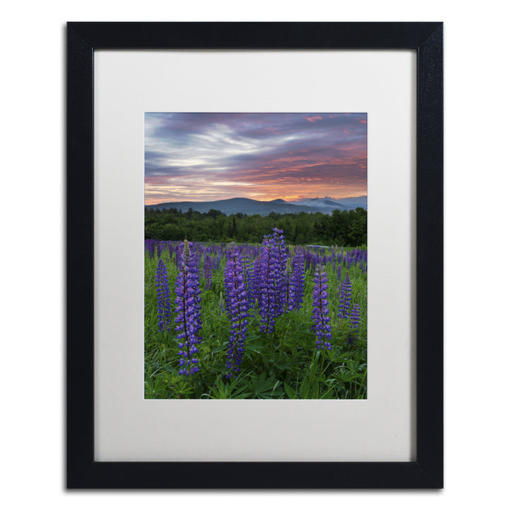 Michael Blanchette Photography Fire in the Sky Black Wooden Framed Art 18 x 22 Inches Image 1