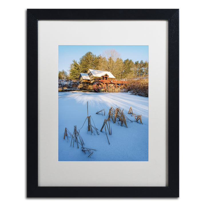 Michael Blanchette Photography Pond Grasses Black Wooden Framed Art 18 x 22 Inches Image 1