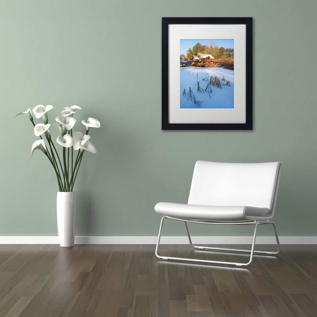 Michael Blanchette Photography Pond Grasses Black Wooden Framed Art 18 x 22 Inches Image 2
