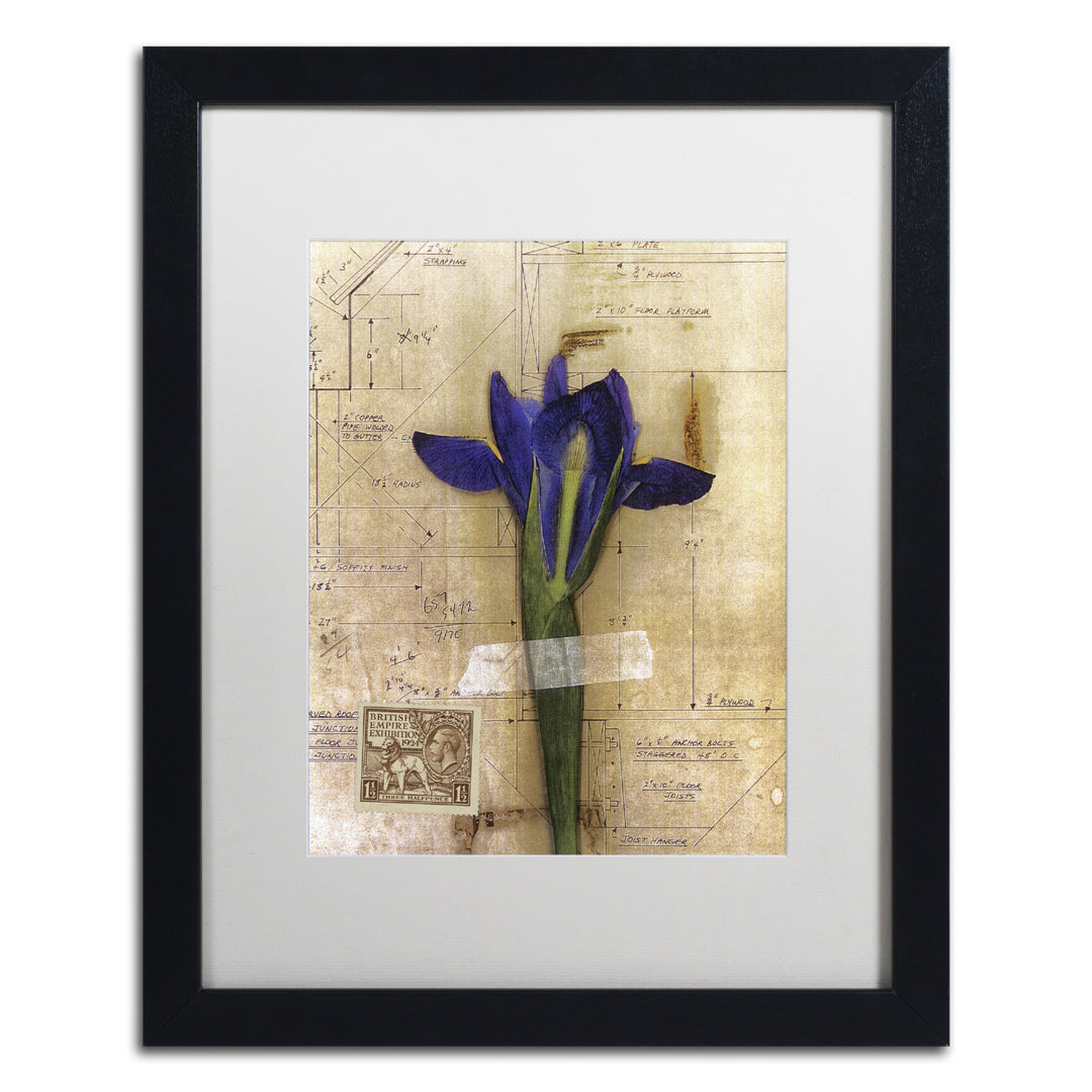Nick Bantock Iris Plan Black Wooden Framed Art 18 x 22 Inches Image 1