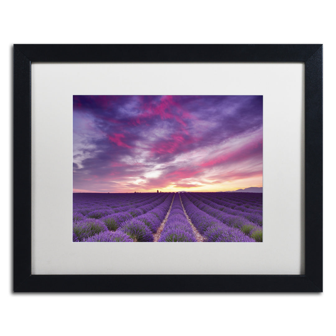 Michael Blanchette Photography Pink and Purple Black Wooden Framed Art 18 x 22 Inches Image 1