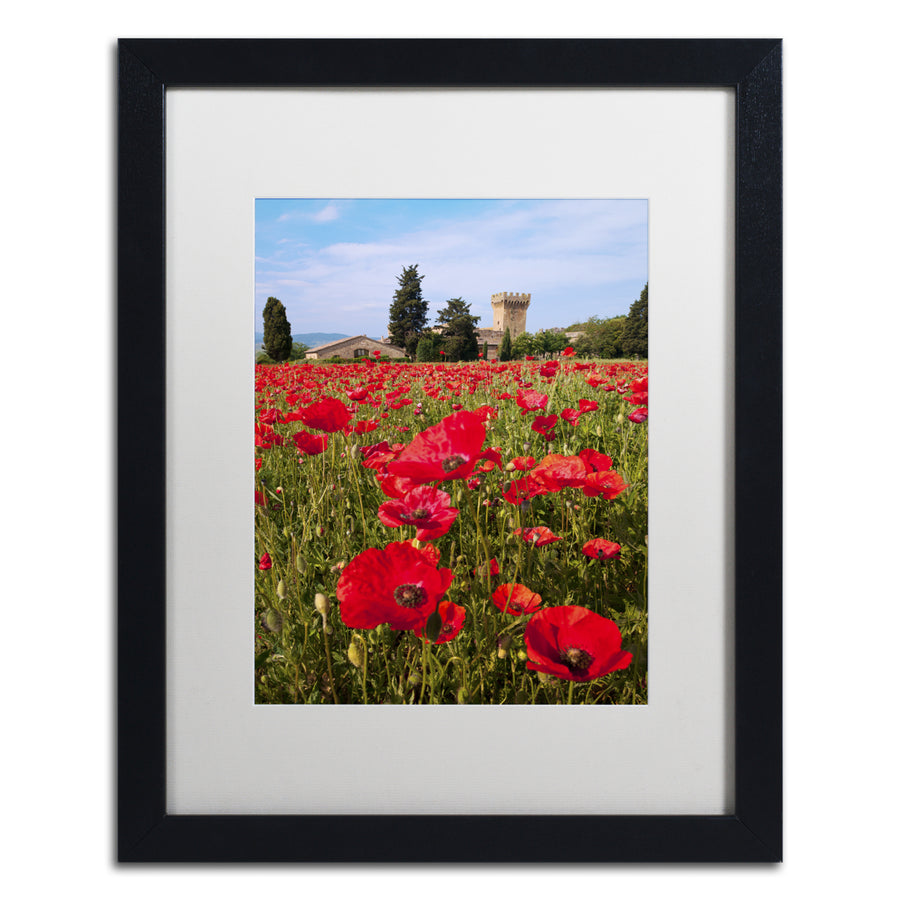 Michael Blanchette Photography Poppies Close Black Wooden Framed Art 18 x 22 Inches Image 1