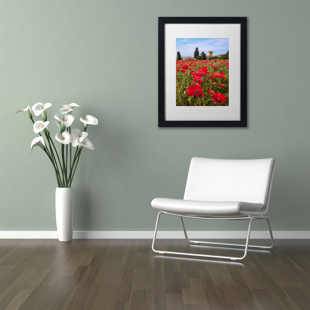 Michael Blanchette Photography Poppies Close Black Wooden Framed Art 18 x 22 Inches Image 2