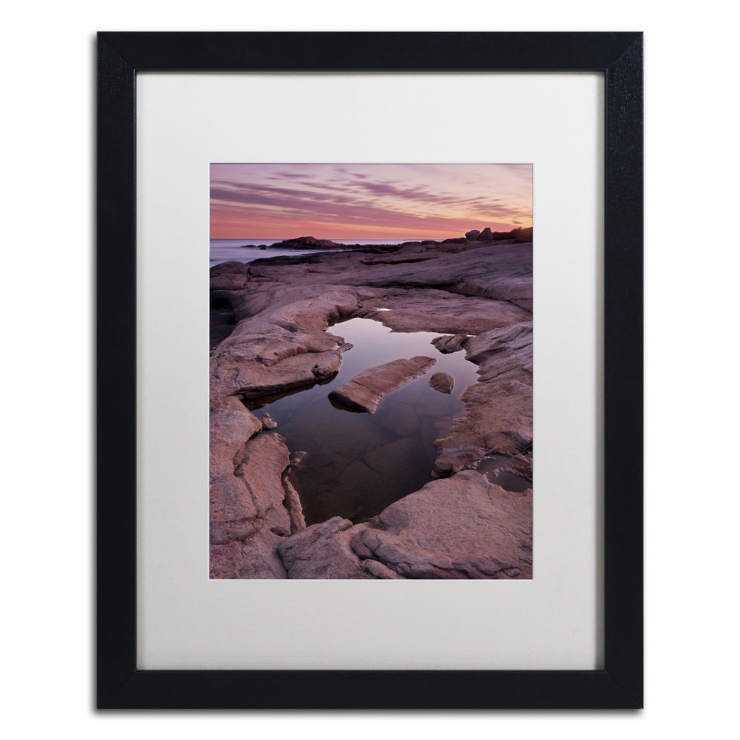 Michael Blanchette Photography Tide Pool Geometry Black Wooden Framed Art 18 x 22 Inches Image 1