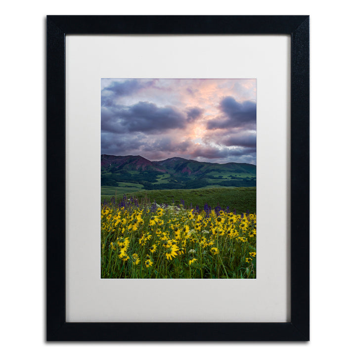 Michael Blanchette Photography Awakening Black Wooden Framed Art 18 x 22 Inches Image 1