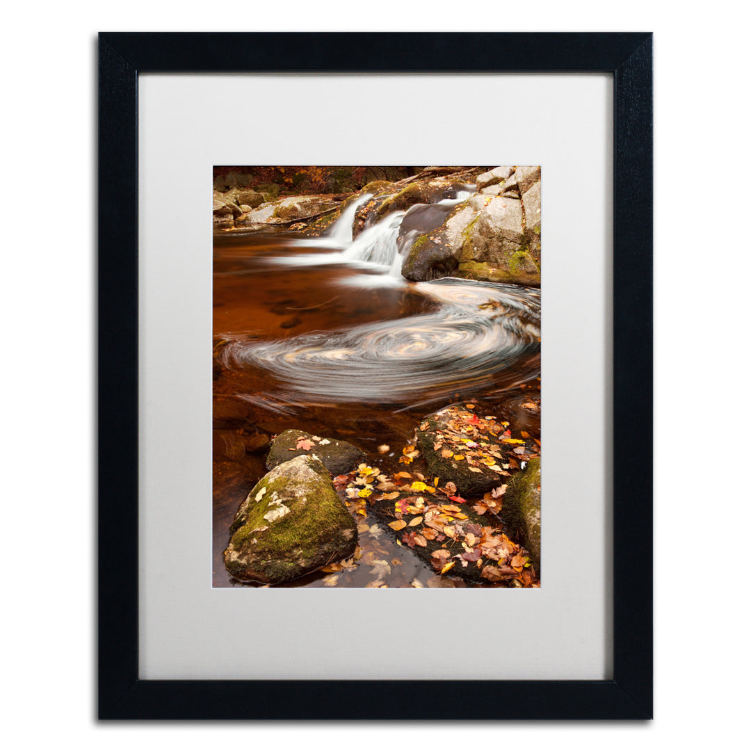 Michael Blanchette Photography Autumn Swirly Black Wooden Framed Art 18 x 22 Inches Image 1