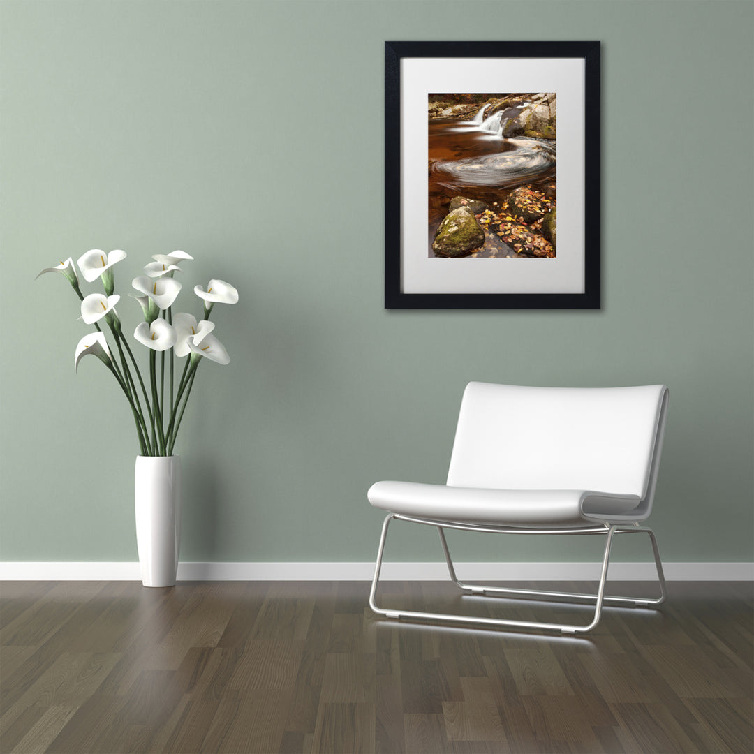 Michael Blanchette Photography Autumn Swirly Black Wooden Framed Art 18 x 22 Inches Image 2