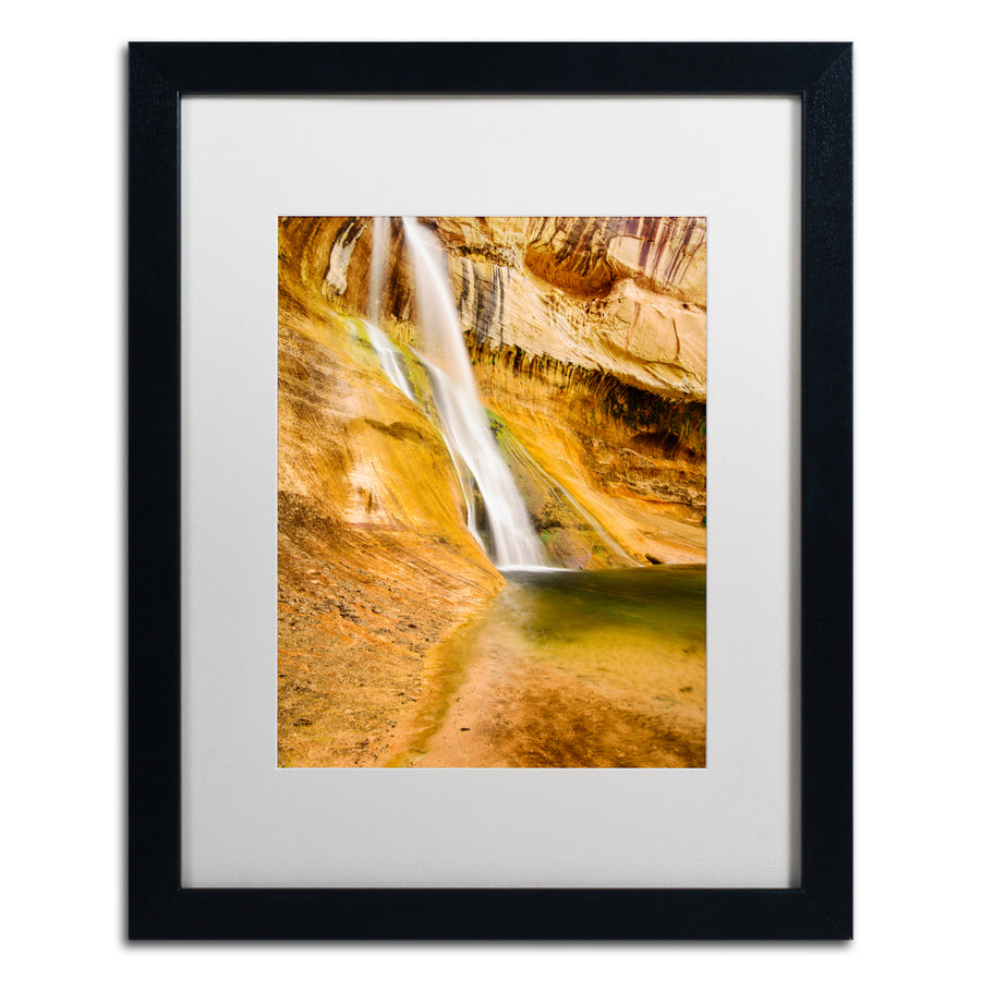 Michael Blanchette Photography Desert Oasis Black Wooden Framed Art 18 x 22 Inches Image 1