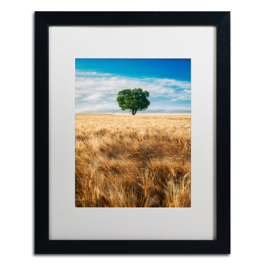 Michael Blanchette Photography Wheat Field Tree Black Wooden Framed Art 18 x 22 Inches Image 1