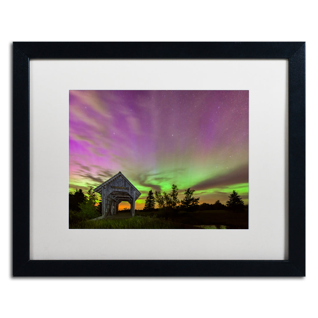 Michael Blanchette Photography Play of Colors Black Wooden Framed Art 18 x 22 Inches Image 1