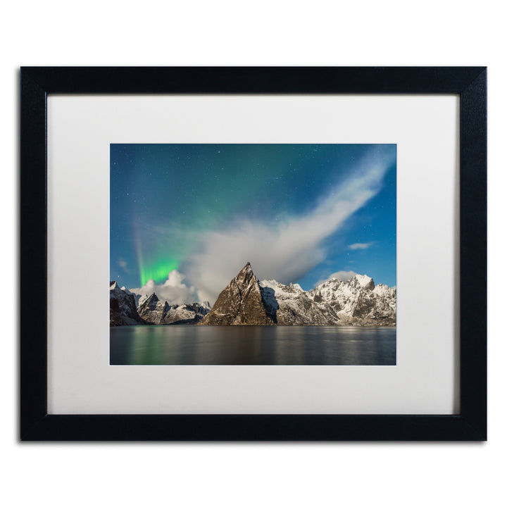 Michael Blanchette Photography Plumes Black Wooden Framed Art 18 x 22 Inches Image 1