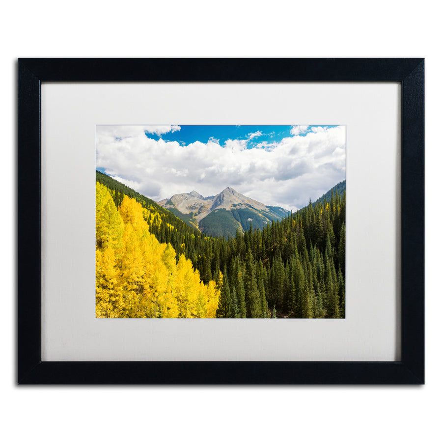 Michael Blanchette Photography Splash of Gold Black Wooden Framed Art 18 x 22 Inches Image 1