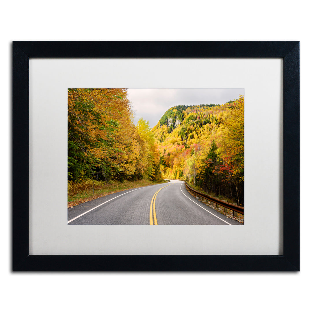 Michael Blanchette Photography Way to Foliage Black Wooden Framed Art 18 x 22 Inches Image 1