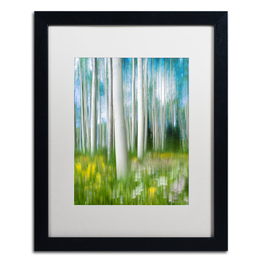 Michael Blanchette Photography Aspen Impression Black Wooden Framed Art 18 x 22 Inches Image 1
