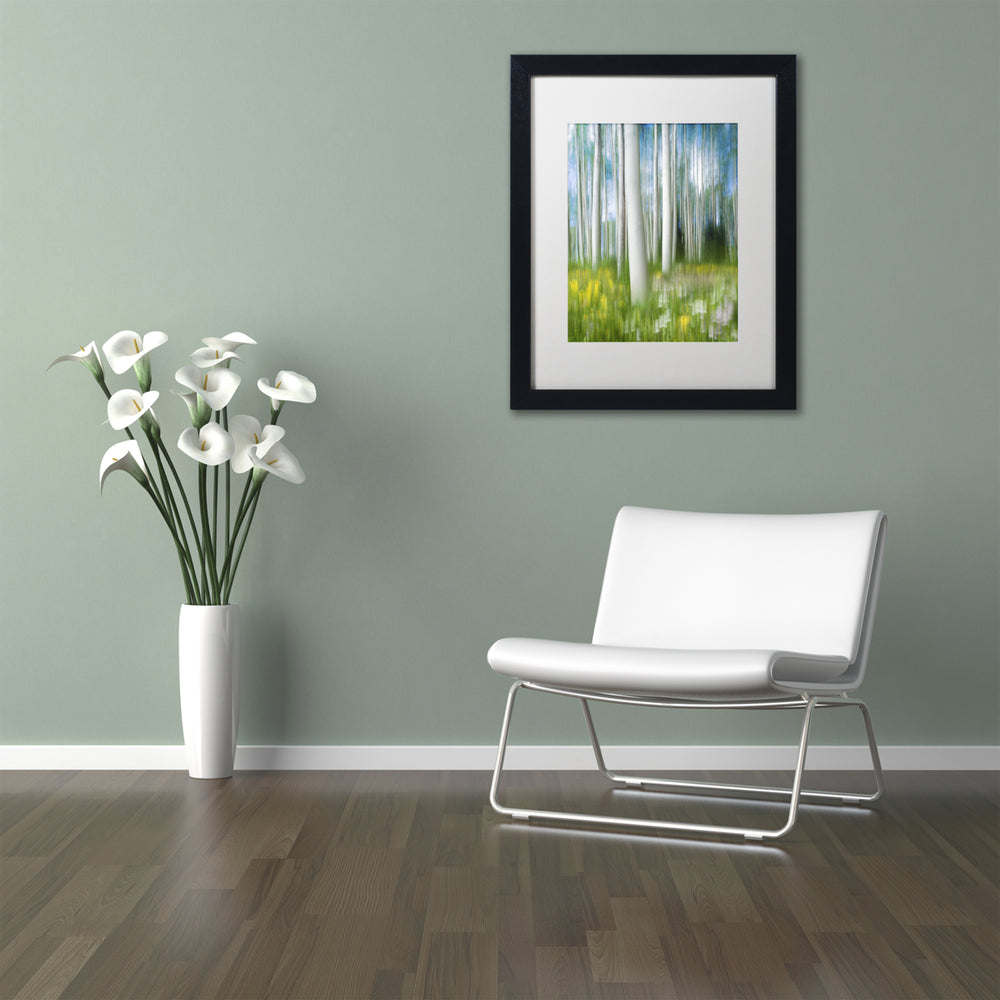 Michael Blanchette Photography Aspen Impression Black Wooden Framed Art 18 x 22 Inches Image 2