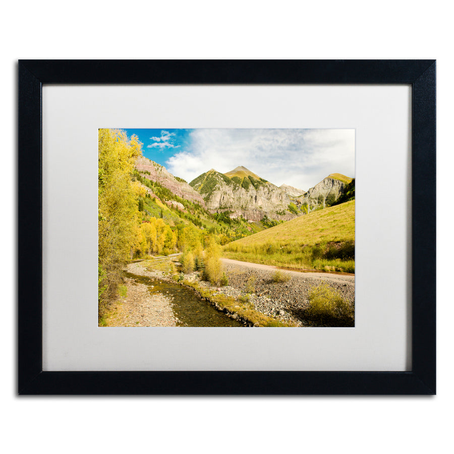 Michael Blanchette Photography Aspen Yellows Black Wooden Framed Art 18 x 22 Inches Image 1