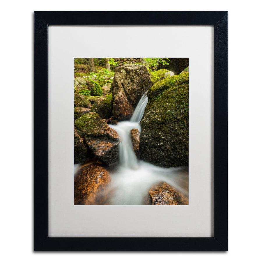 Michael Blanchette Photography Granite Cascade Black Wooden Framed Art 18 x 22 Inches Image 1