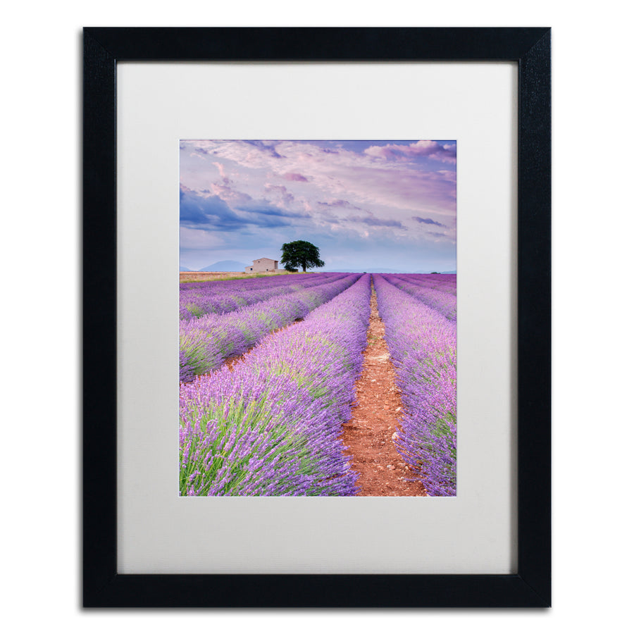 Michael Blanchette Photography Rows Of Lavender Black Wooden Framed Art 18 x 22 Inches Image 1