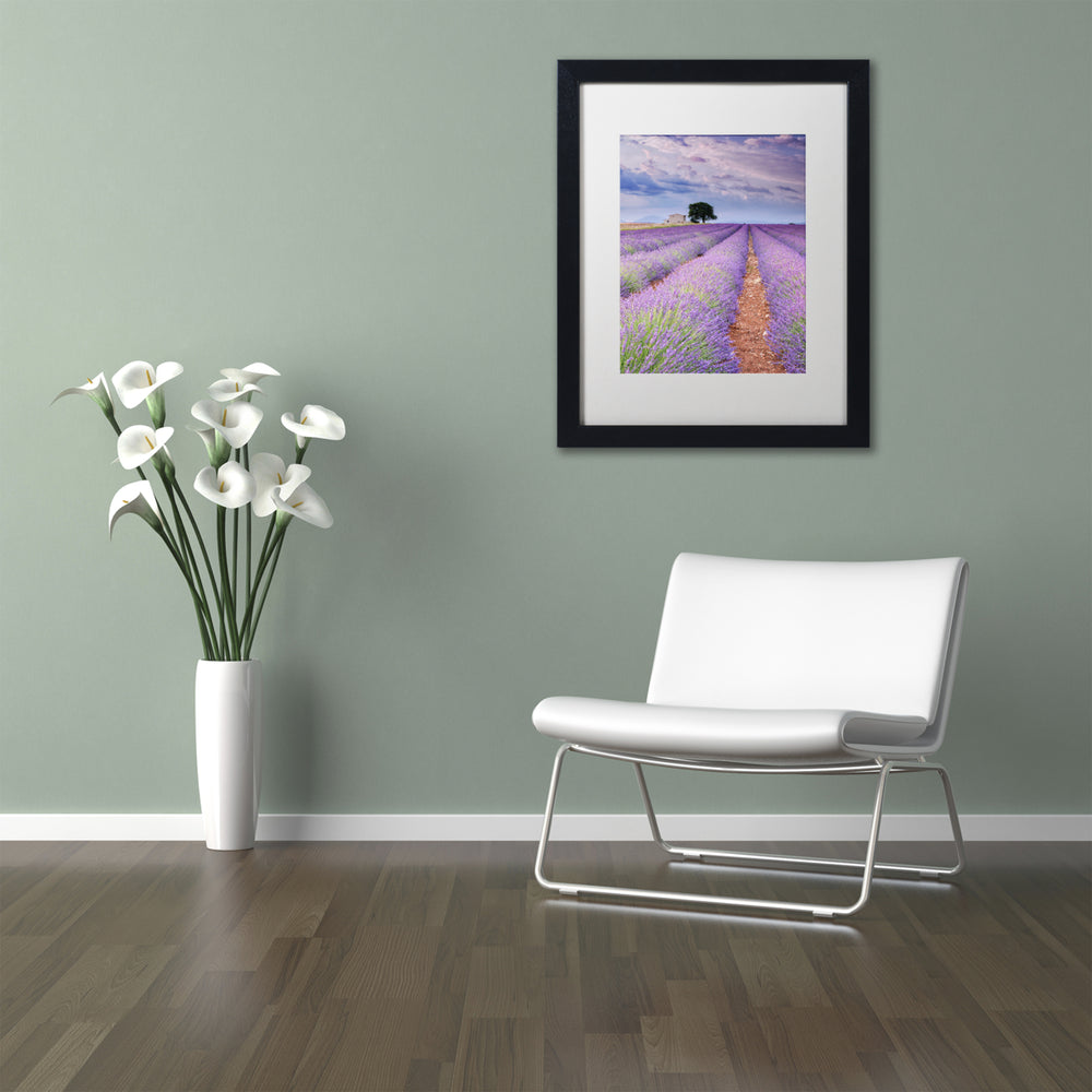 Michael Blanchette Photography Rows Of Lavender Black Wooden Framed Art 18 x 22 Inches Image 2