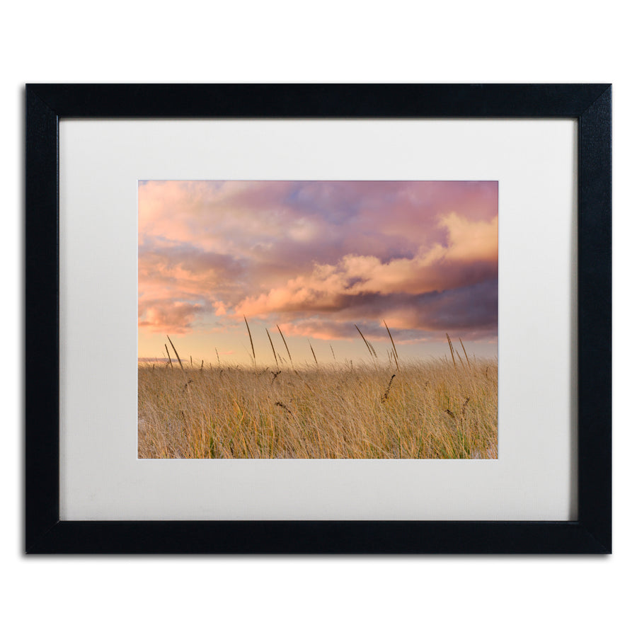 Michael Blanchette Photography Beachgrass Sunrise Black Wooden Framed Art 18 x 22 Inches Image 1