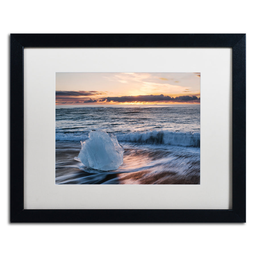 Michael Blanchette Photography Crystal Floret Black Wooden Framed Art 18 x 22 Inches Image 1