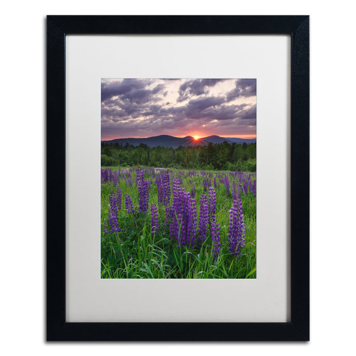 Michael Blanchette Photography Moody Sunrise Black Wooden Framed Art 18 x 22 Inches Image 1