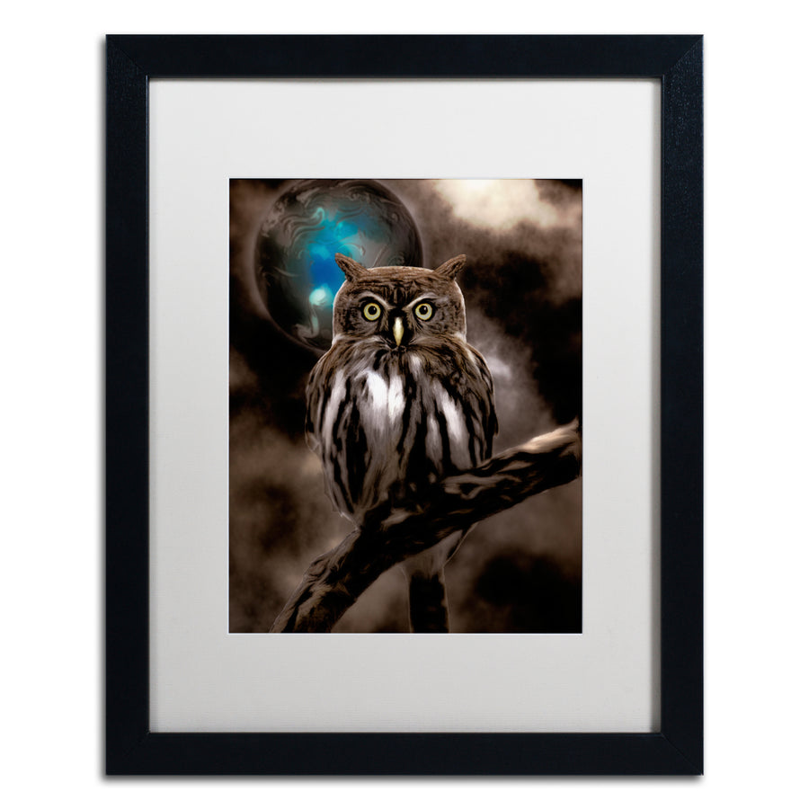 Color Bakery Night Owl Black Wooden Framed Art 18 x 22 Inches Image 1