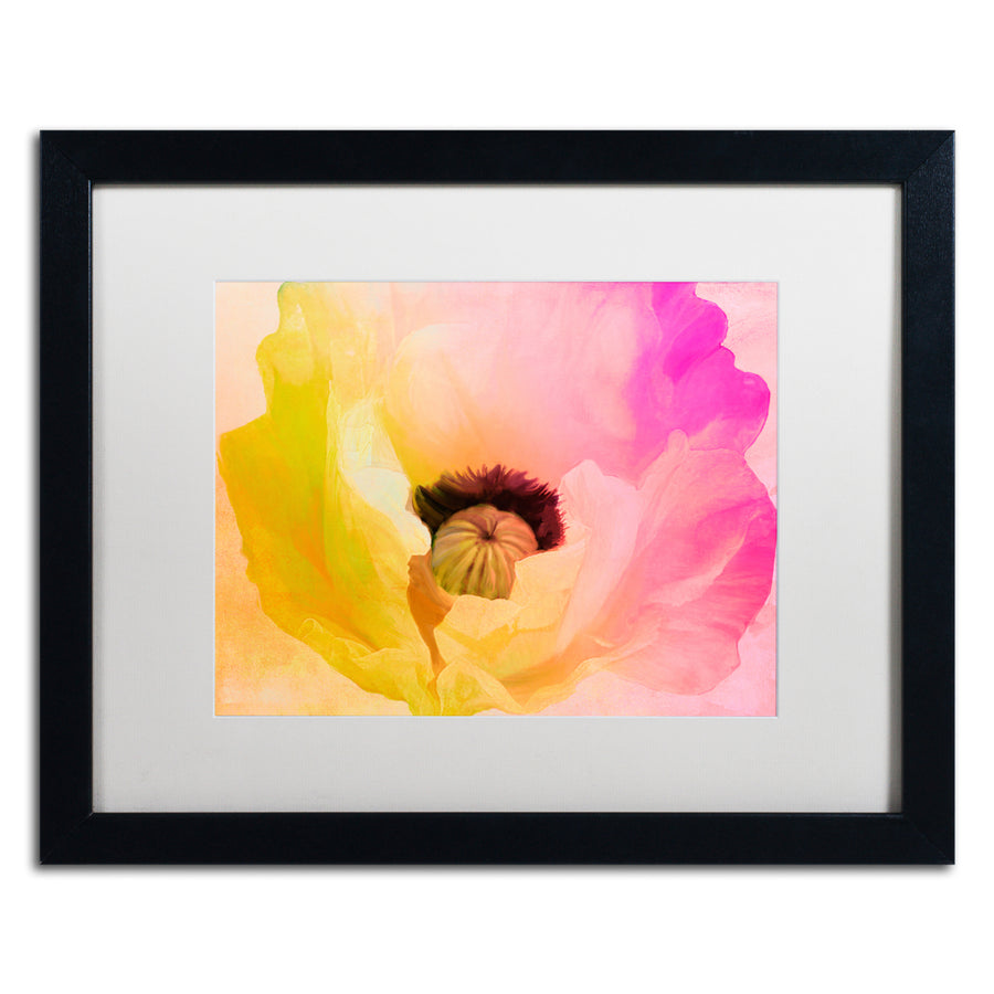 Color Bakery Poppy Gradient II Black Wooden Framed Art 18 x 22 Inches Image 1