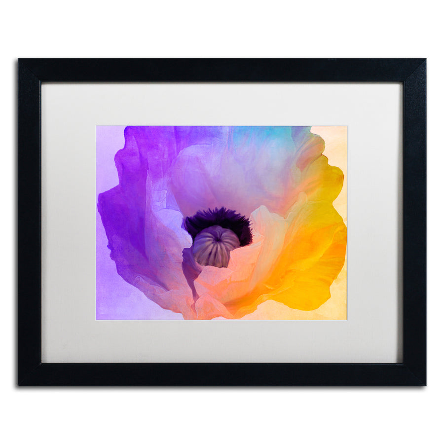 Color Bakery Poppy Gradient III Black Wooden Framed Art 18 x 22 Inches Image 1