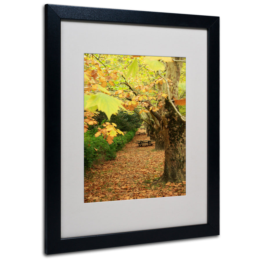 Beata Czyzowska Young Autumn Black Wooden Framed Art 18 x 22 Inches Image 1