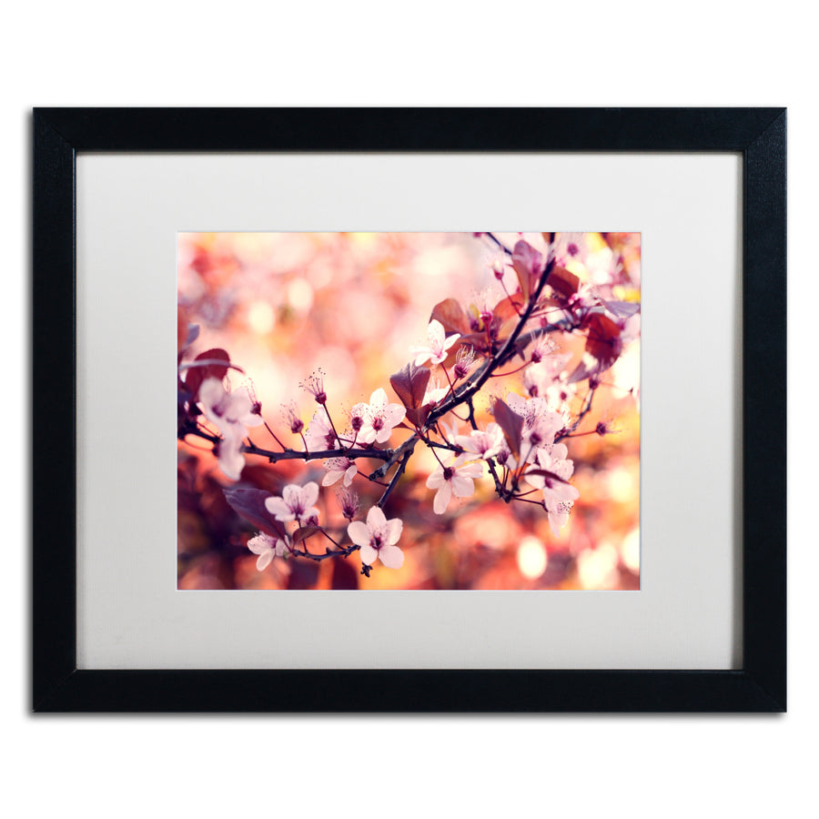 Beata Czyzowska Young Colours of Springtime Black Wooden Framed Art 18 x 22 Inches Image 1