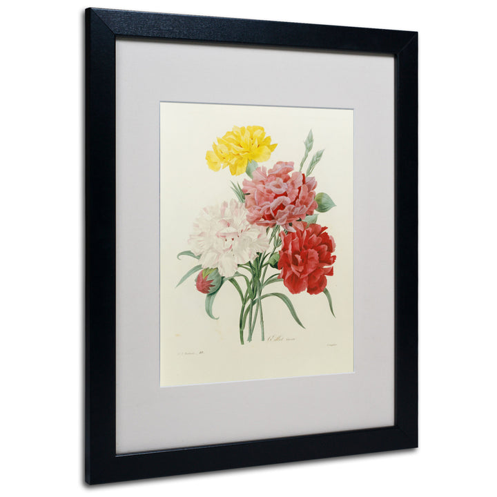 Joseph Redoute Carnations from Choix Black Wooden Framed Art 18 x 22 Inches Image 1