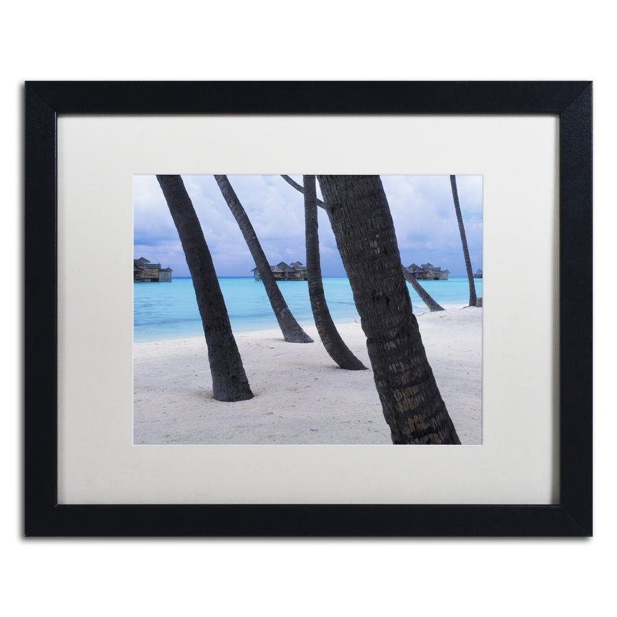 David Evans Beach Palms-Maldives Black Wooden Framed Art 18 x 22 Inches Image 1