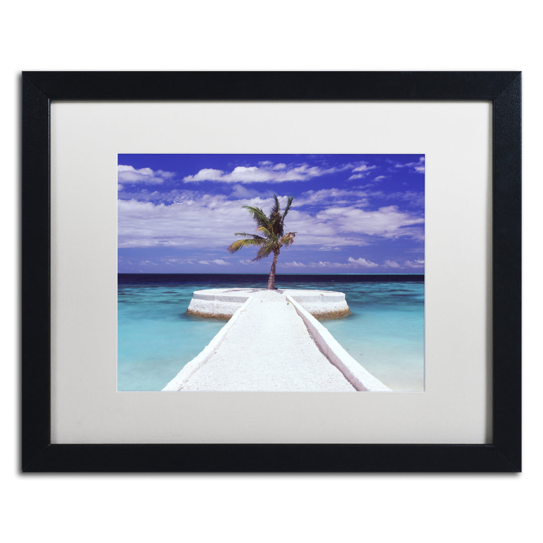 David Evans Breakwater-Jumeirah Vittaveli Black Wooden Framed Art 18 x 22 Inches Image 1