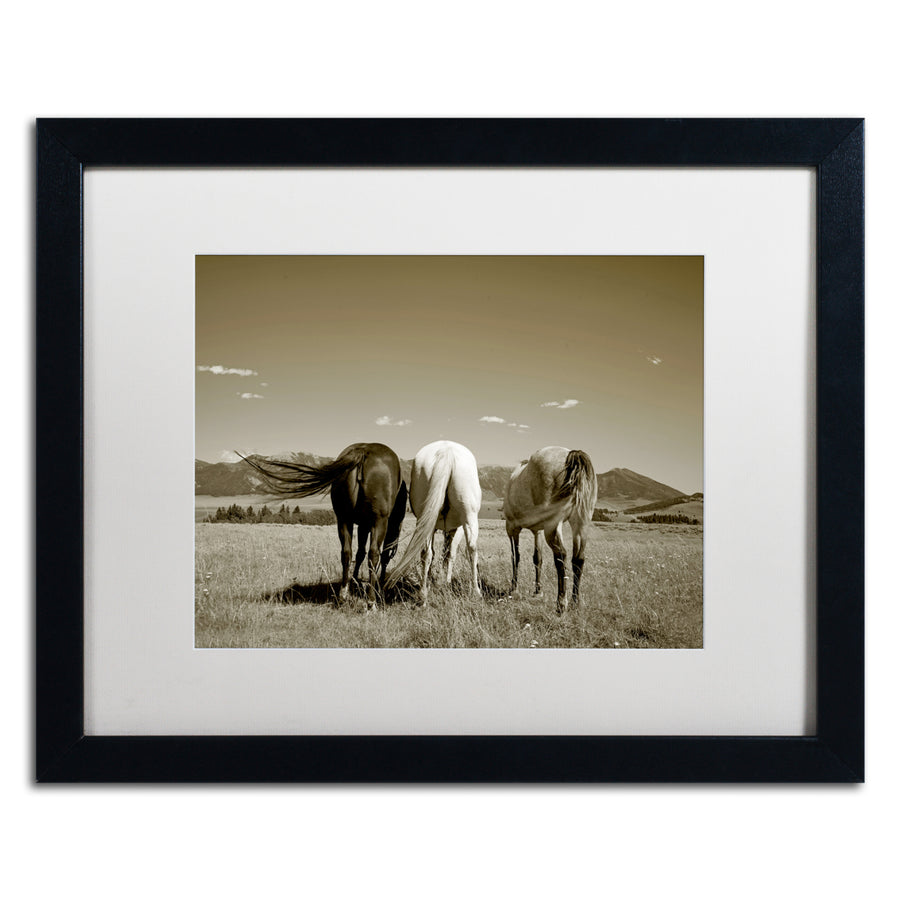 Preston Three Horses Black Wooden Framed Art 18 x 22 Inches Image 1