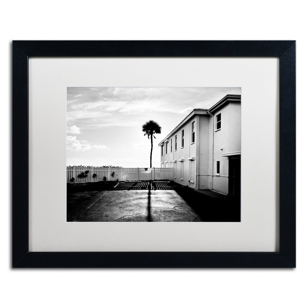 Preston Florida Lone Palm Black Wooden Framed Art 18 x 22 Inches Image 1