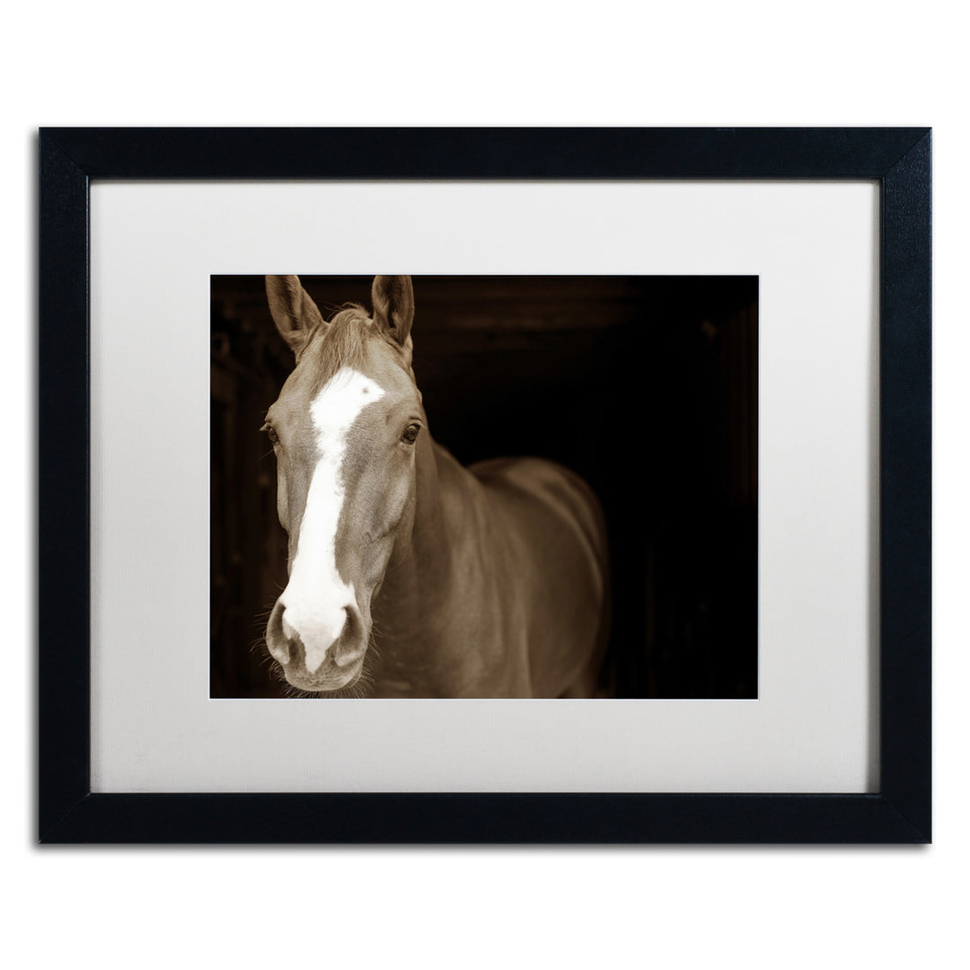 Preston Horse Portrait Black Wooden Framed Art 18 x 22 Inches Image 1