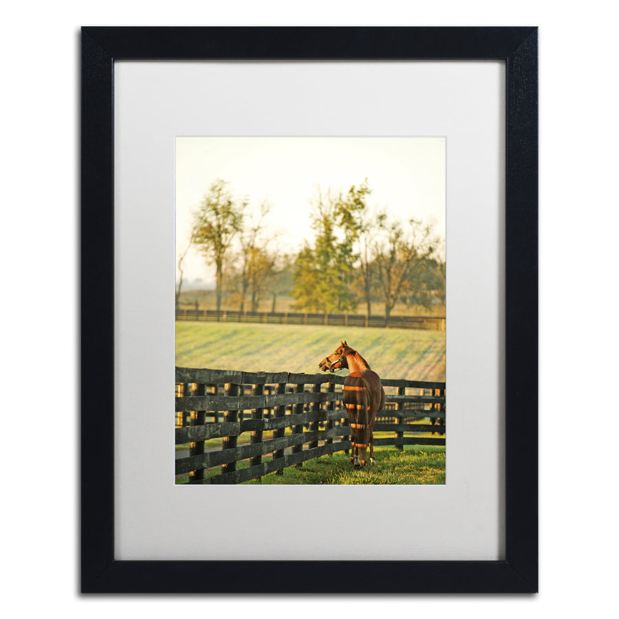 Preston Kentucky Horse Sunrise Black Wooden Framed Art 18 x 22 Inches Image 1