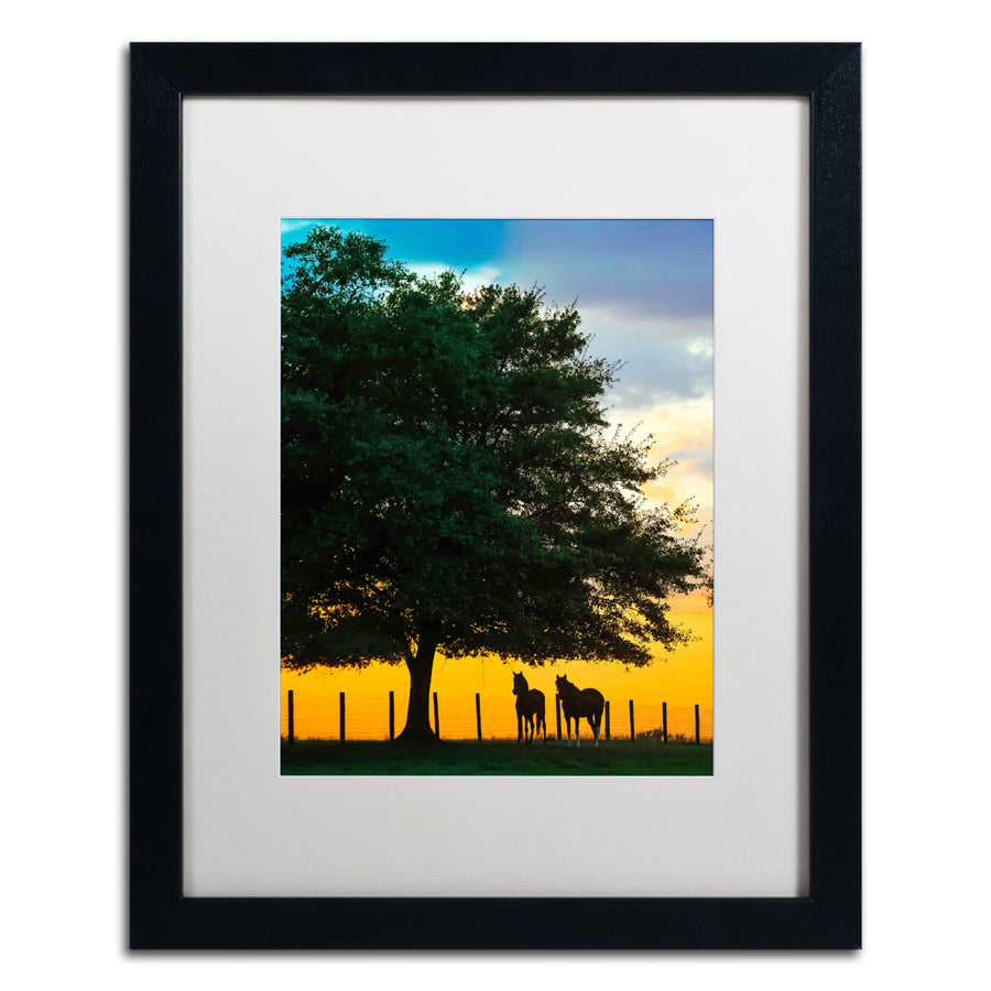 Preston Horse Sunset Black Wooden Framed Art 18 x 22 Inches Image 1