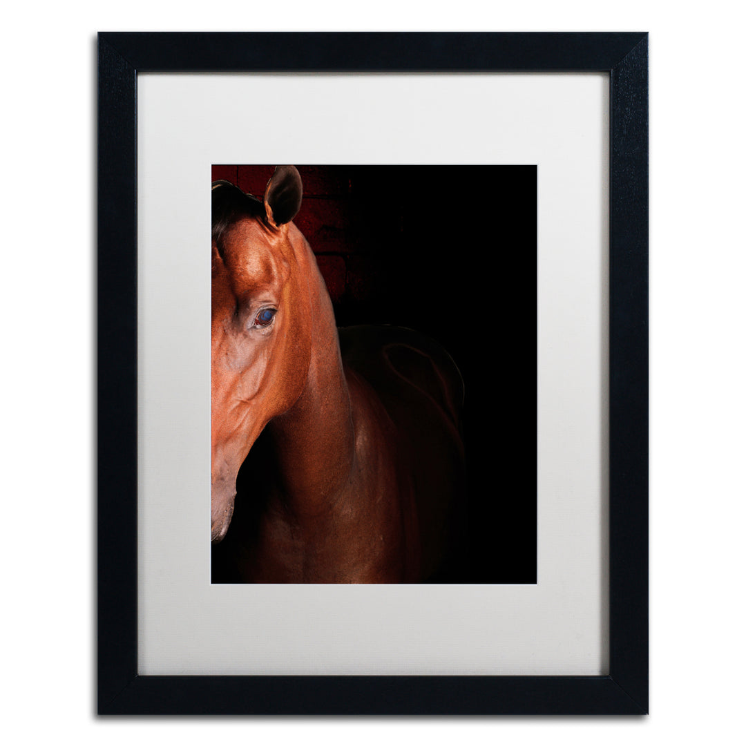 Preston Kentucky horse Intense Black Wooden Framed Art 18 x 22 Inches Image 1