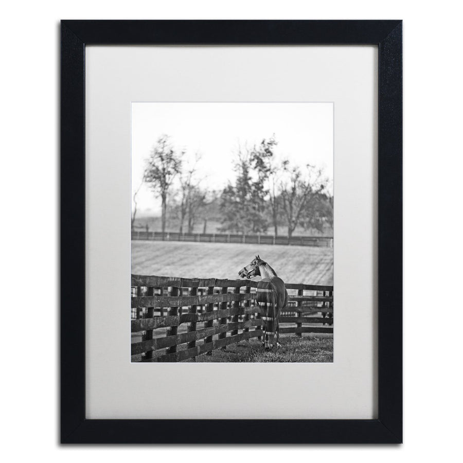 Preston Kentucky Horse Sunrise BW Black Wooden Framed Art 18 x 22 Inches Image 1