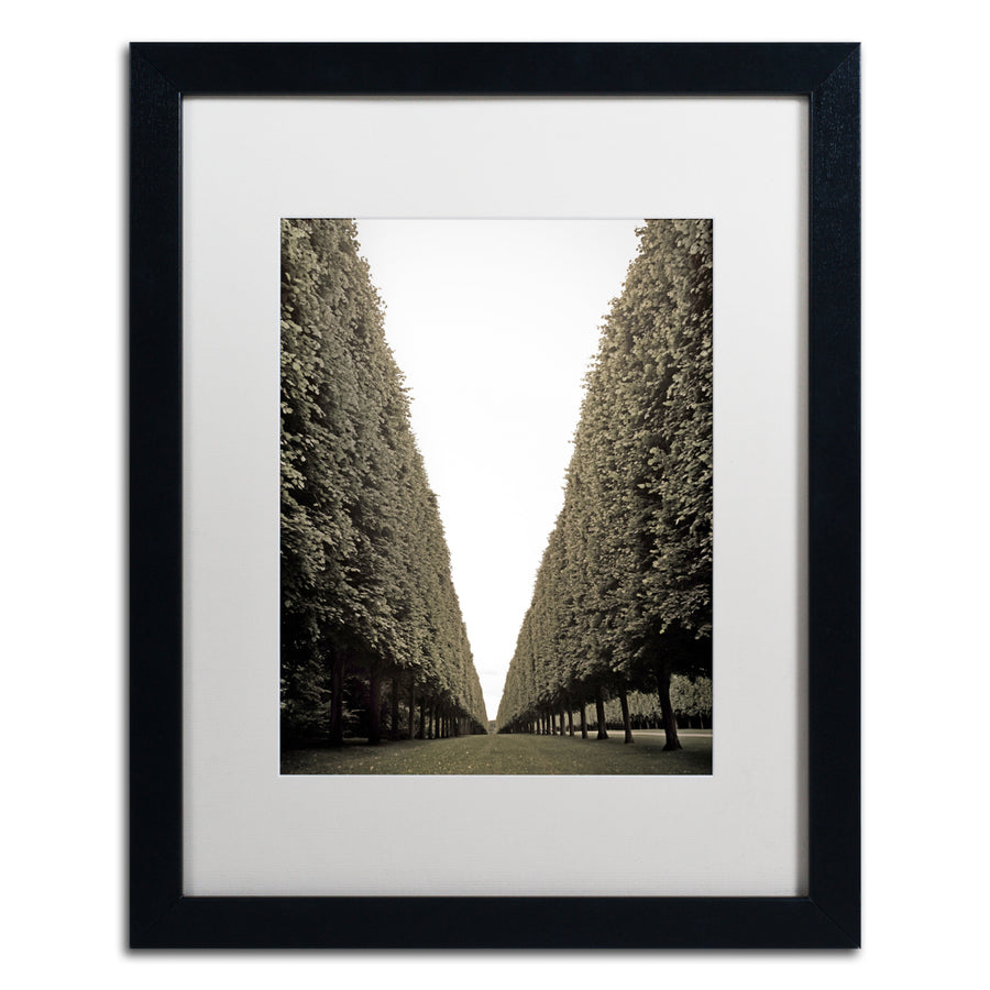 Preston Parisian Versailles Trees Black Wooden Framed Art 18 x 22 Inches Image 1