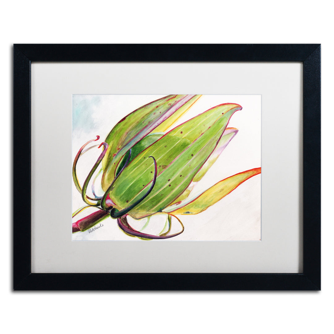 Jennifer Redstreake Flower Pod Black Wooden Framed Art 18 x 22 Inches Image 1