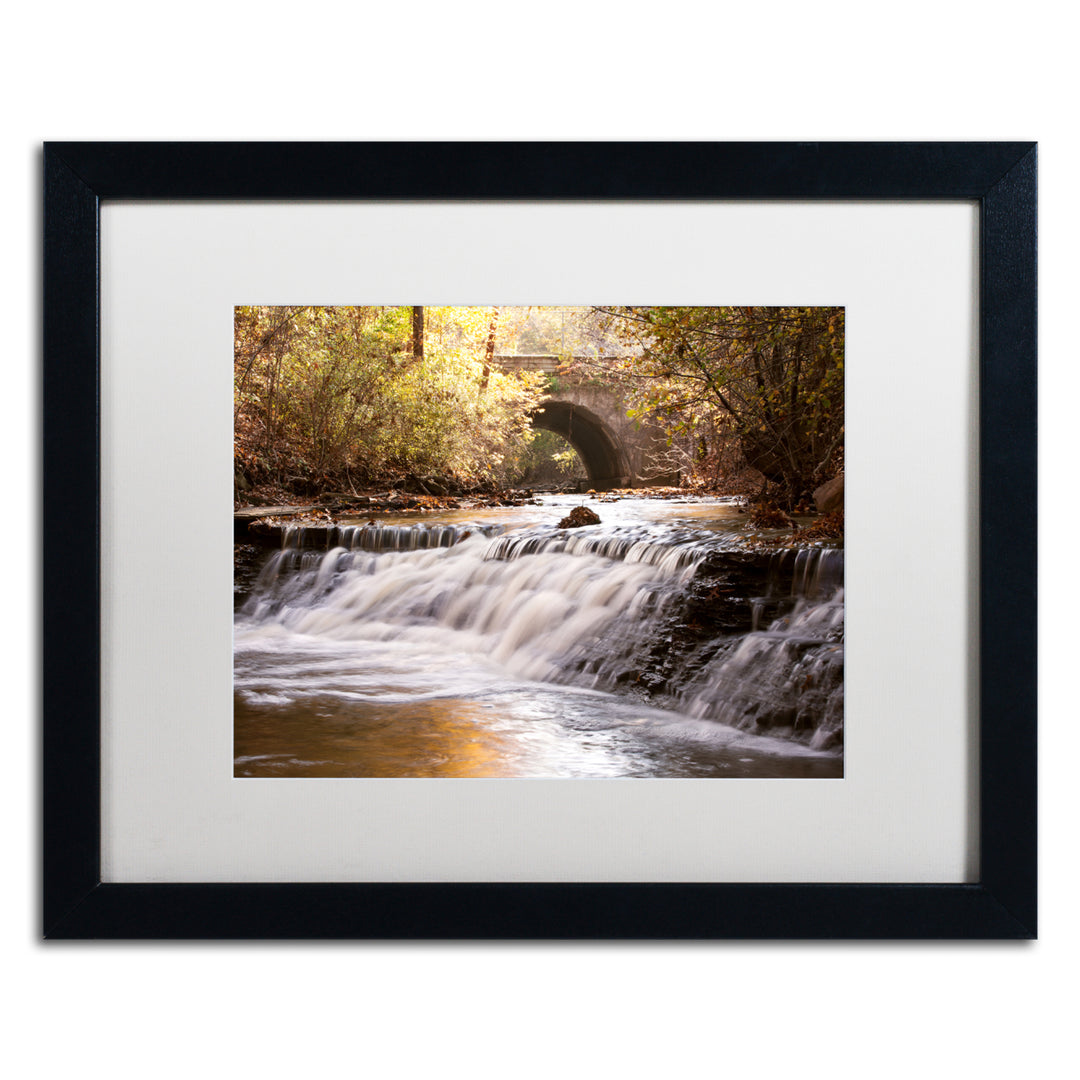 Jason Shaffer Avon Falls Black Wooden Framed Art 18 x 22 Inches Image 1